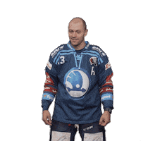 Hockey Swipe Up Sticker by HC Škoda Plzeň