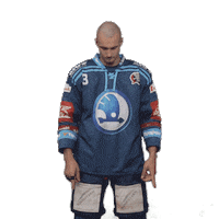 Hockey Swipe Up Sticker by HC Škoda Plzeň