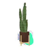 Plugin Blocos Sticker by Estant.pro