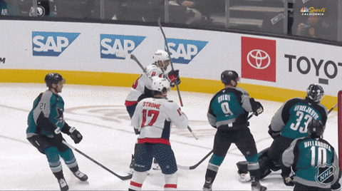Happy Washington Capitals GIF by NHL