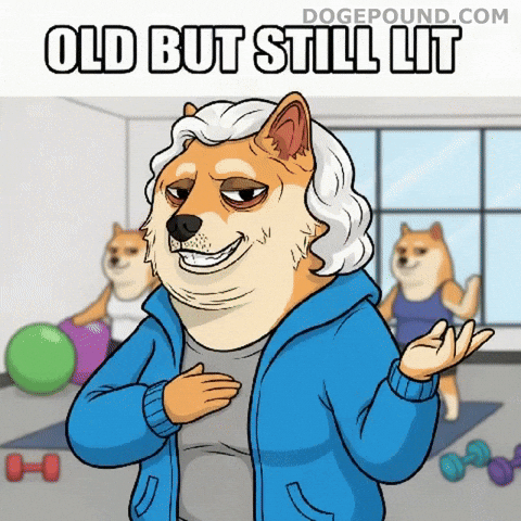 Dog Shrug GIF by Doge Pound
