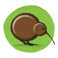 Kiwi Sticker by QizzleNZ