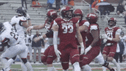 Lets Go Football GIF by Colgate Athletics
