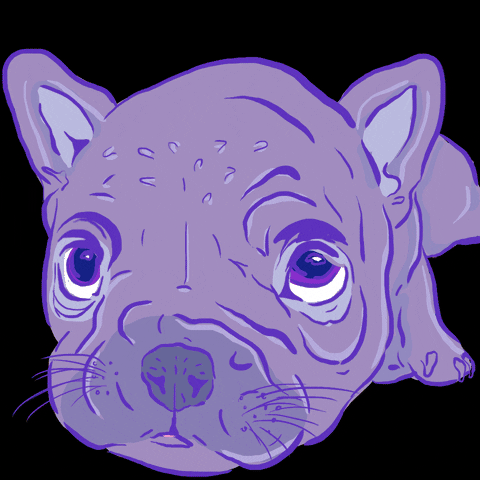 what is happening french bulldog GIF by Percolate Galactic