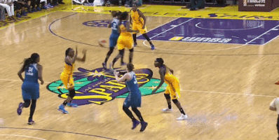 game 3 basketball GIF by WNBA