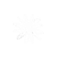 julerichter illustration white flower circle Sticker