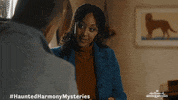Mysteries GIF by Hallmark Mystery