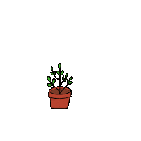 nathanle98e3 aesthetic plants nathanle16 Sticker