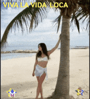 Mar La Vida GIF by Murcianys LLC