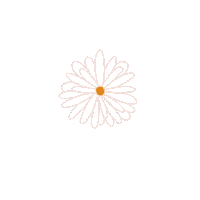 novidwiwulandari nature flower plant daisy Sticker