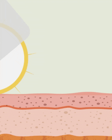 panpan88 giphyupload GIF