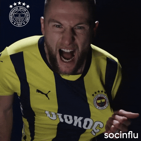 Skriniar GIF by Socinflu