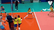 Brazil Wow GIF by Volleyball World