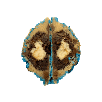 Allaboutthecookie Sticker by Detroit Cookie Company