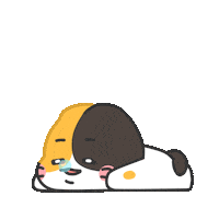 ba_so_0 cat sleep 고양이 snoring Sticker