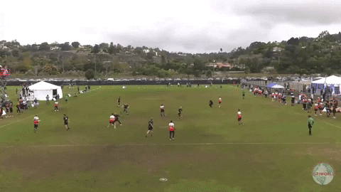 flikulti ultimate frisbee flik GIF