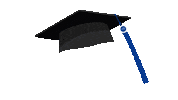 Lynnadmission Sticker by Lynn University Admission