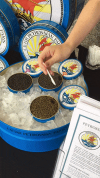 petrossian laugh hungry yummy pretty GIF