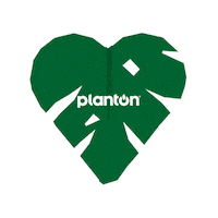 Heart Love Sticker by planton