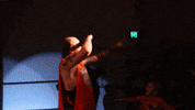 SHWAWrestling tequila spear k9 perth pro wrestling GIF