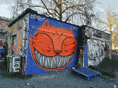 cats glas2019 GIF