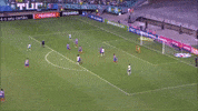 bahia keno GIF by SE Palmeiras