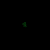 FightingIrish irish notre dame shamrock notre dame football GIF