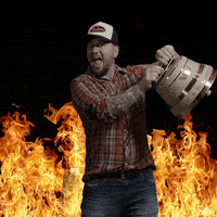 GIF by TRAUFFER