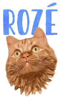 Cat Ginger Sticker