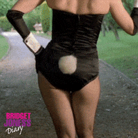 Renee Zellweger Bunny Tail GIF by Paramount Movies