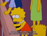 bart simpson episode 3 GIF