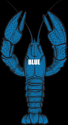 nsspiritco blue cheers weekend drinks GIF