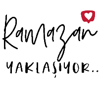 Mnks Ramazan Sticker