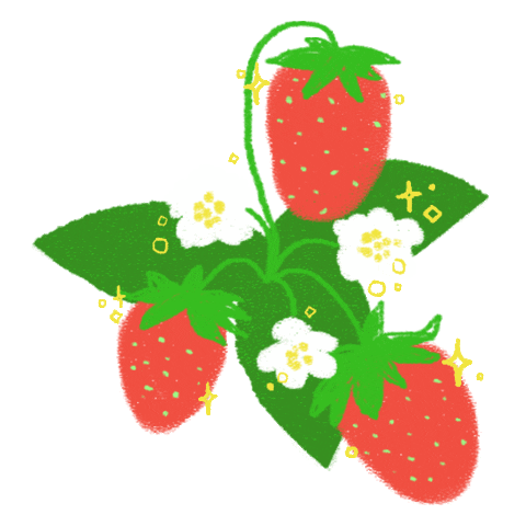 Summer Love Sticker