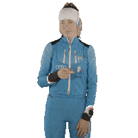 Wintersports Scialpinismo Sticker by FISI