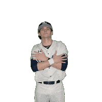 Clarke Baseball Sticker by Clarke University