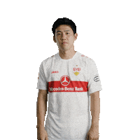 Football Applause Sticker by VfB Stuttgart