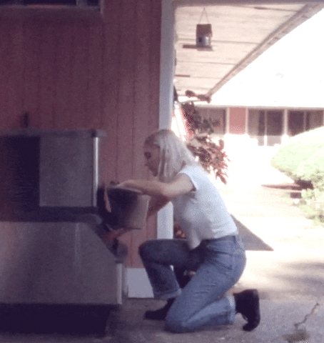 lizaanne beach vacation boat forest GIF