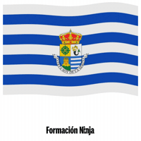 Villanueva De La Serena Flag GIF by Formación Ninja