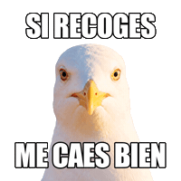Proyectolibera Sticker by ecoembes