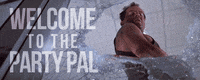 party GIF