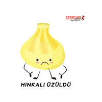 gurcukafe borjomi khinkali hengel hinkali Sticker