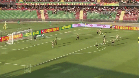 sportjob giphyupload GIF