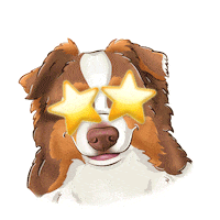 Star Wow Sticker