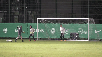 koen casteels wolves GIF by VfL Wolfsburg
