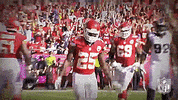 Kansas City Chiefs GIF by NFL