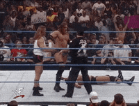 celebrate triple h GIF by WWE