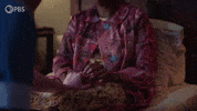 Season 14 Episode 3 GIF by PBS