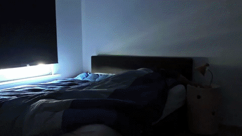 GIF by Mortierbrigade