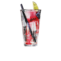 dis_noordkade drink drinks cocktail dis Sticker